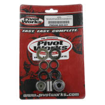 SHOCK BEARINGS DRZ